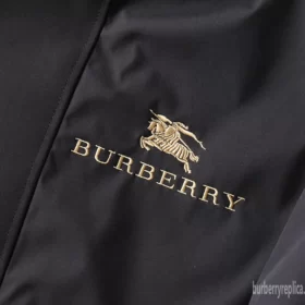 Replica Burberry 6680 Fashion Down Coats 5