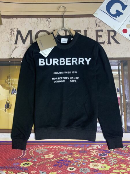 Replica Burberry 35160 Fashion Hoodies 2