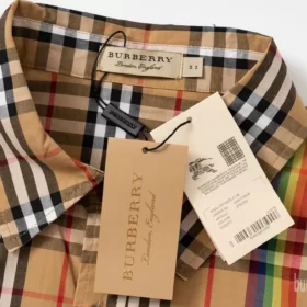Replica Burberry 5855 Fashion Shirt 6