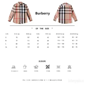 Replica Burberry 3527 Fashion Shirt 9