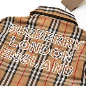 Replica Burberry 811 Fashion Shirt 4