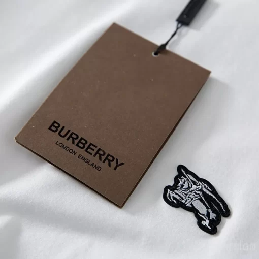 Replica Burberry 5306 Fashion Unisex Hoodies 14