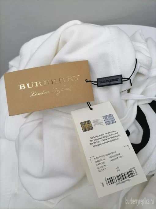 Replica Burberry 4650 Fashion Unisex Hoodies 17