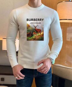 Replica Burberry 105638 Fashion Sweater 2